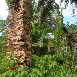 Foto 07